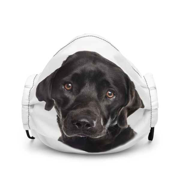 Premium-Gesichtsmaske mit Labrador Design