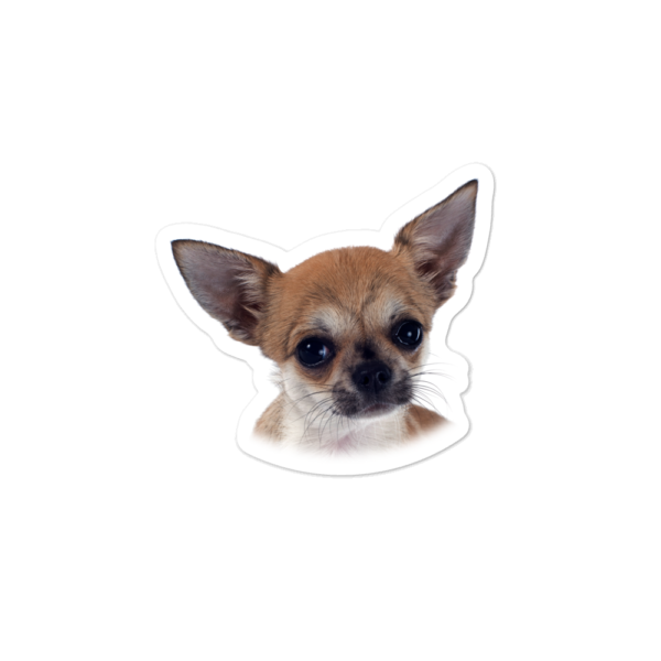 Blasenfreie Aufkleber mit Chihuahua_Welpe Design