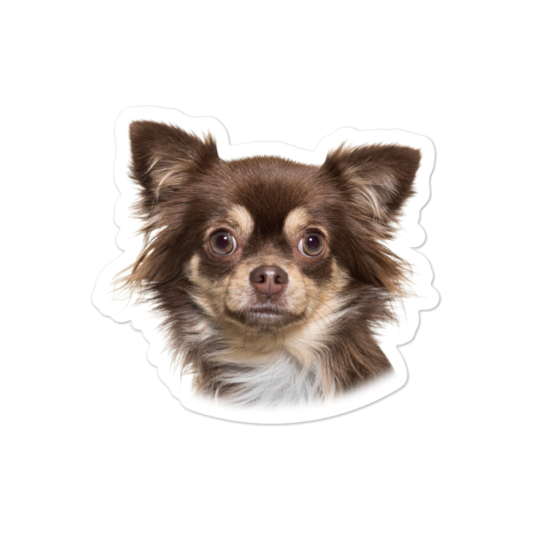 Blasenfreie Aufkleber mit Chihuahua Design