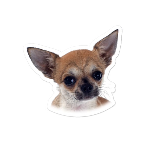 Blasenfreie Aufkleber mit Chihuahua_Welpe Design