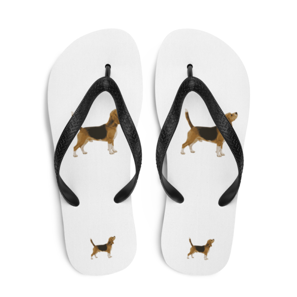 Flip-Flops mit Beagle Design